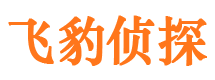 八公山市调查公司